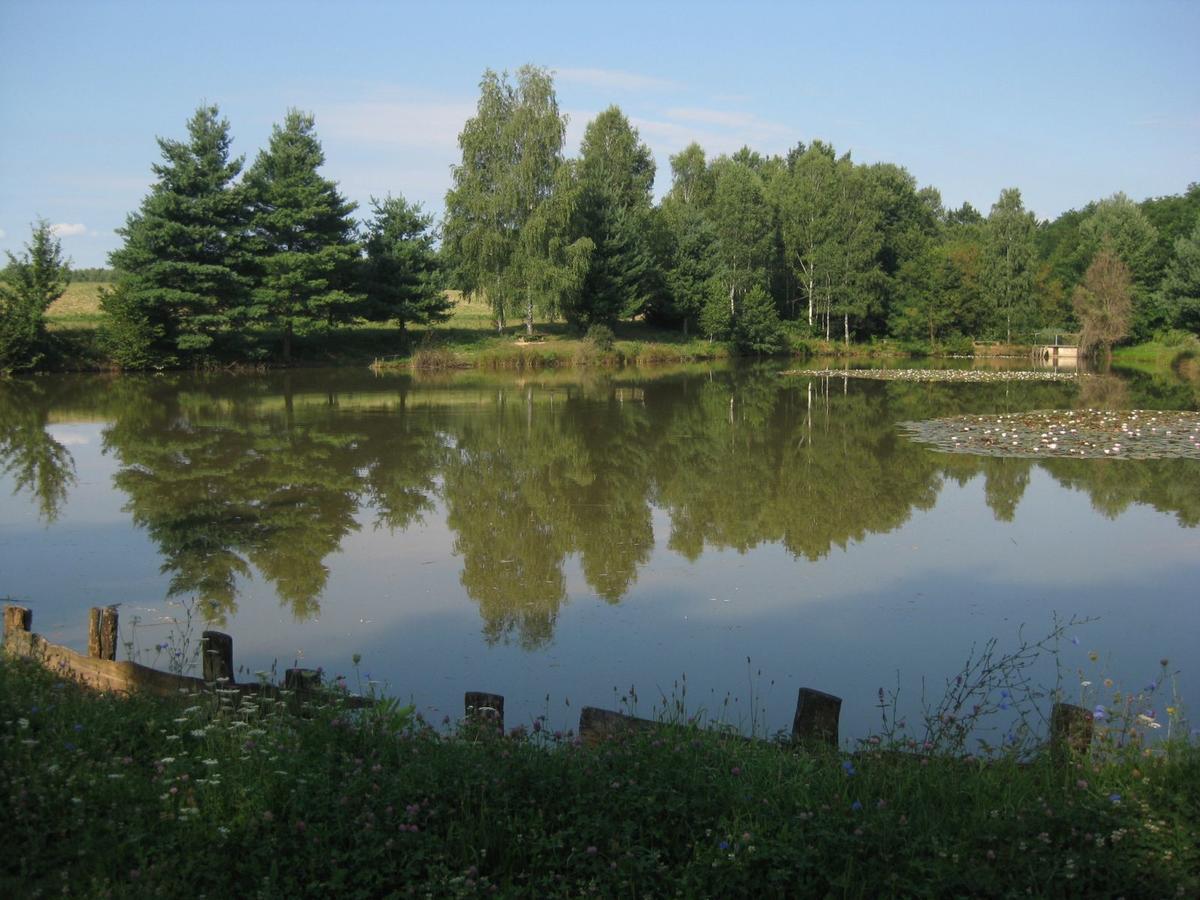 Lahinja & Kolpa River Apartments Metlika Exteriör bild